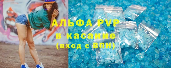 прущие крисы Белокуриха